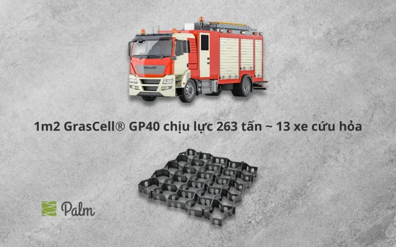 Vỉ Trồng Cỏ Chịu Lực | Tất Tần Tật Về Lợi Ích, Ứng Dụng Và Cách Lắp Đặt